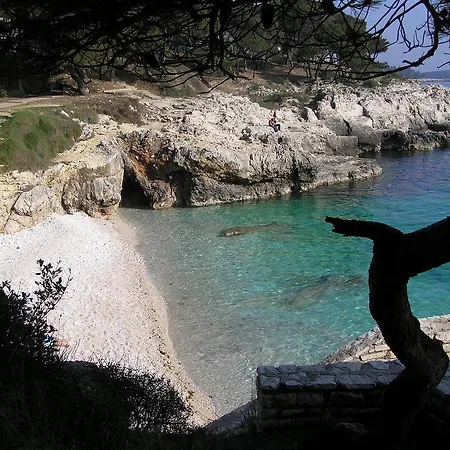 Villa Lumare - 100M From The Sea Apartment *